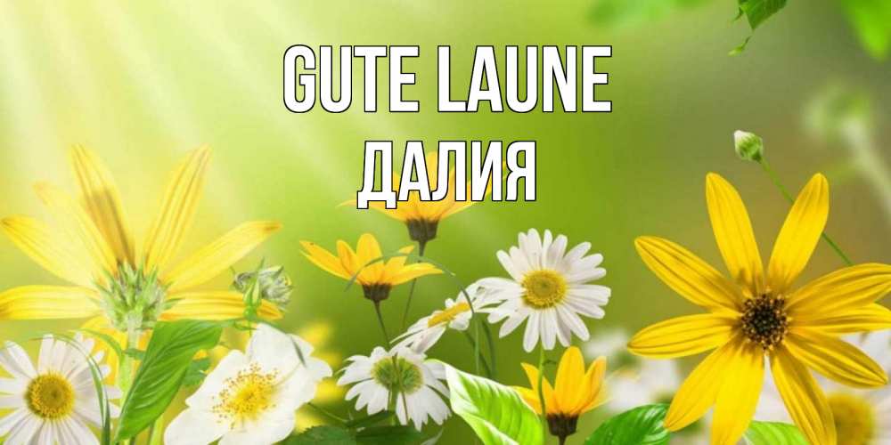 Открытка на каждый день с именем, Далия Gute Laune цветы Прикольная открытка с пожеланием онлайн скачать бесплатно 