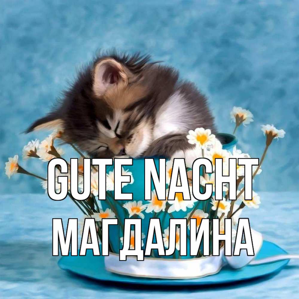 Открытка на каждый день с именем, Магдалина Gute Nacht котенок спит в кружке с блюдцем Прикольная открытка с пожеланием онлайн скачать бесплатно 
