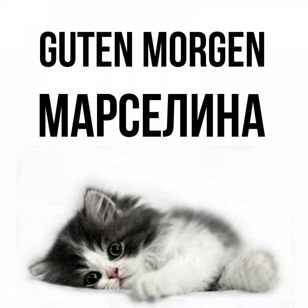 Открытка на каждый день с именем, Марселина Guten Morgen кот лапки Прикольная открытка с пожеланием онлайн скачать бесплатно 