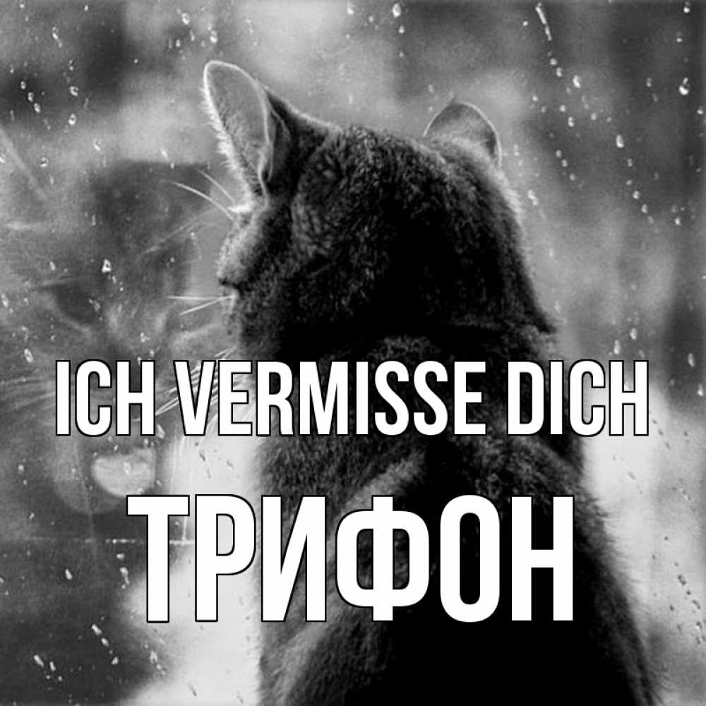 Открытка на каждый день с именем, Трифон Ich vermisse dich скорее ко мне приходи 1 Прикольная открытка с пожеланием онлайн скачать бесплатно 