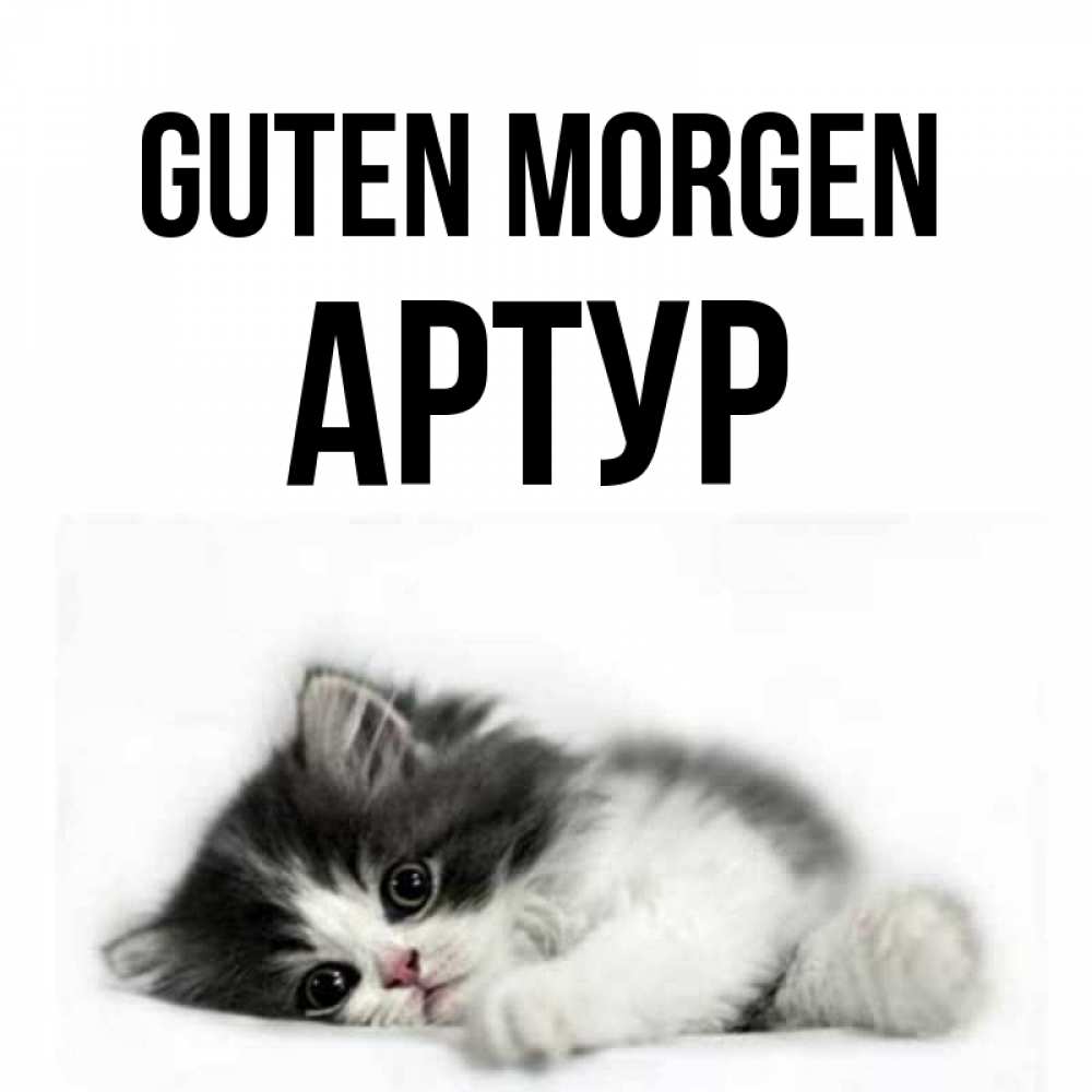 Открытка на каждый день с именем, Артур Guten Morgen кот лапки Прикольная открытка с пожеланием онлайн скачать бесплатно 