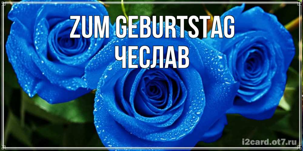 Открытка на каждый день с именем, Чеслав Zum Geburtstag розы с синим цветом Прикольная открытка с пожеланием онлайн скачать бесплатно 