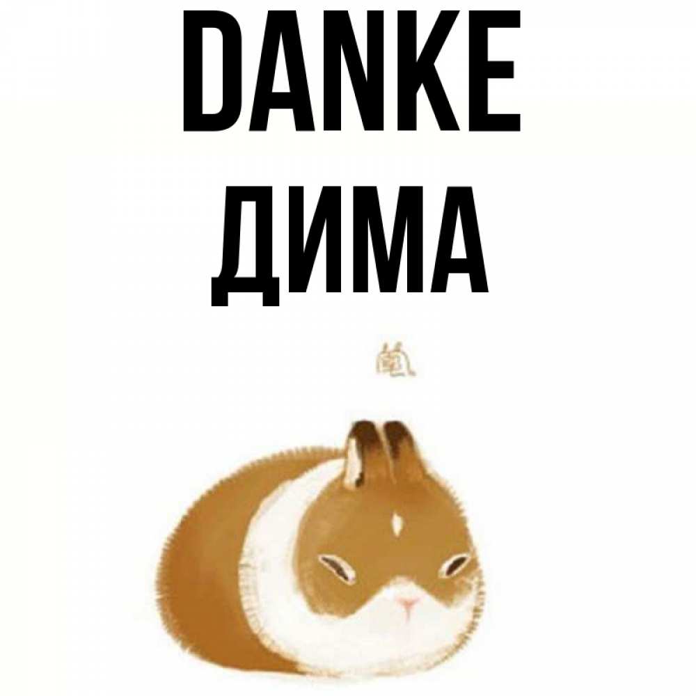 Открытка на каждый день с именем, Дима Danke коричнево белый домашний питомец Прикольная открытка с пожеланием онлайн скачать бесплатно 