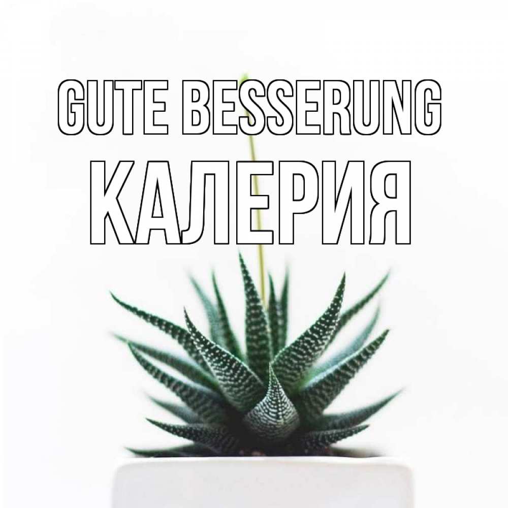 Открытка на каждый день с именем, Калерия Gute Besserung короче это непонятная колючка Прикольная открытка с пожеланием онлайн скачать бесплатно 