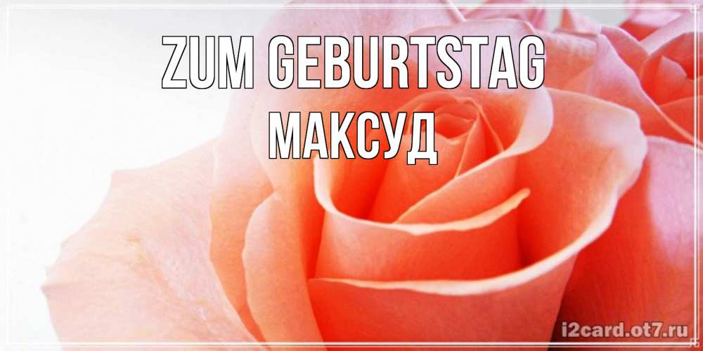 Открытка на каждый день с именем, Максуд Zum Geburtstag розы для поздравления с днем рождения Прикольная открытка с пожеланием онлайн скачать бесплатно 