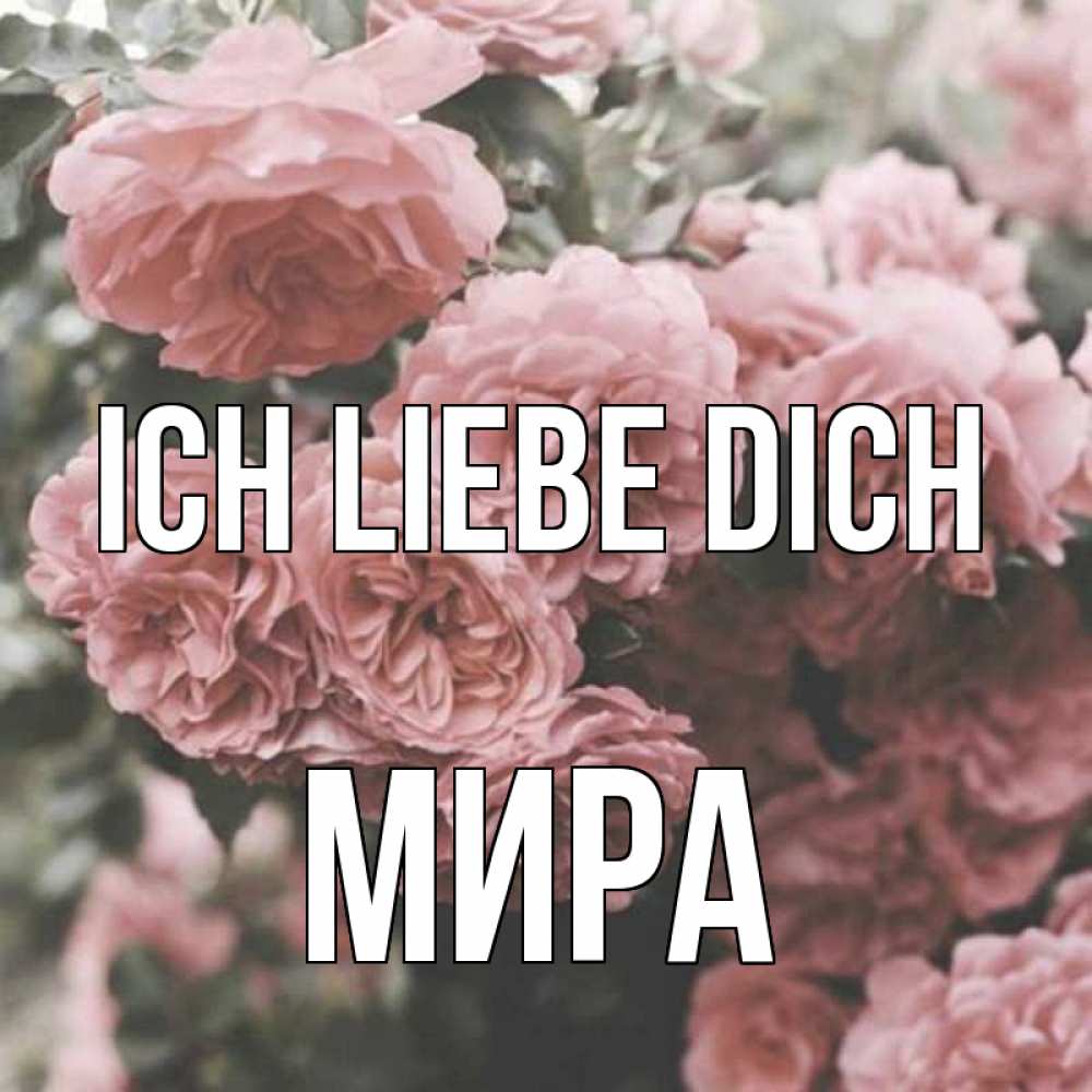 Открытка на каждый день с именем, Мира Ich liebe dich розы 3 Прикольная открытка с пожеланием онлайн скачать бесплатно 