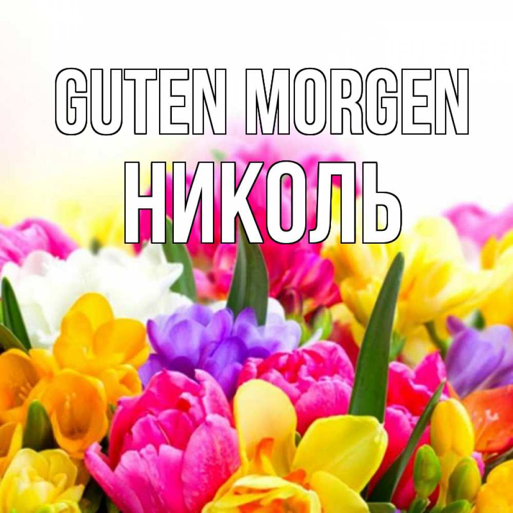 Открытка на каждый день с именем, Николь Guten Morgen создать открытку со свое подписью Прикольная открытка с пожеланием онлайн скачать бесплатно 