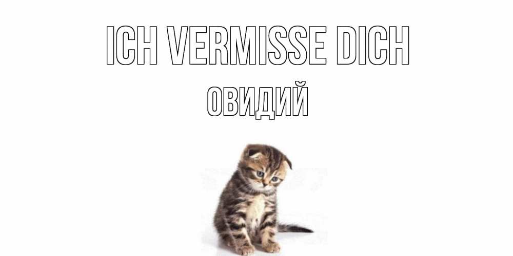 Открытка на каждый день с именем, Овидий Ich vermisse dich кот Прикольная открытка с пожеланием онлайн скачать бесплатно 