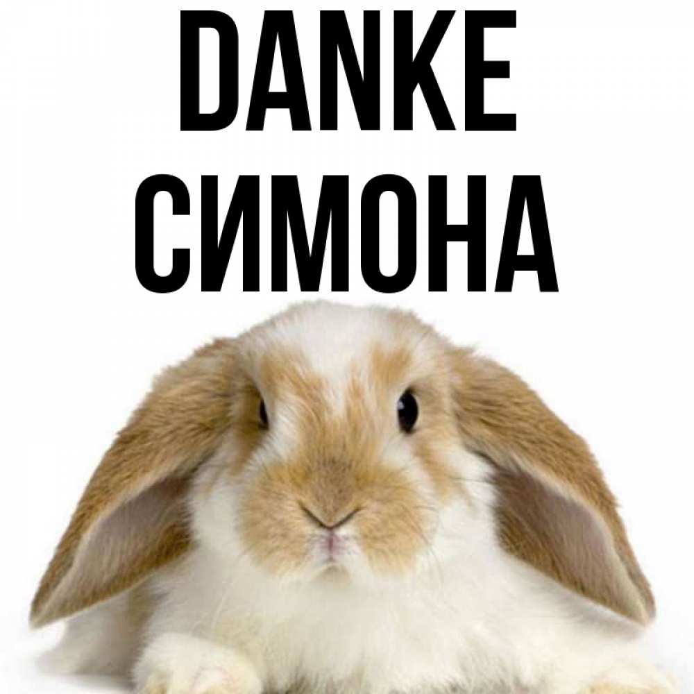 Открытка на каждый день с именем, Симона Danke коричнево белый заяц Прикольная открытка с пожеланием онлайн скачать бесплатно 