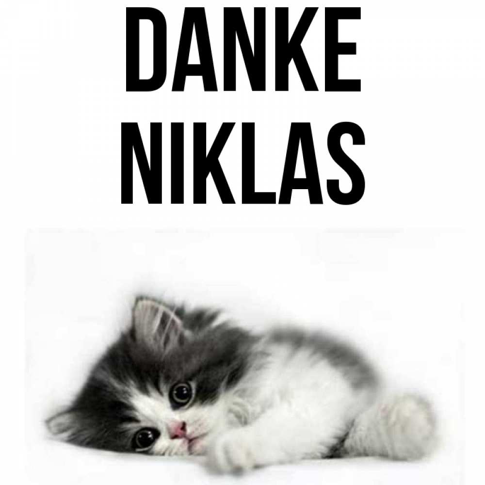 Открытка на каждый день с именем, Niklas Danke черный и белый кот Прикольная открытка с пожеланием онлайн скачать бесплатно 