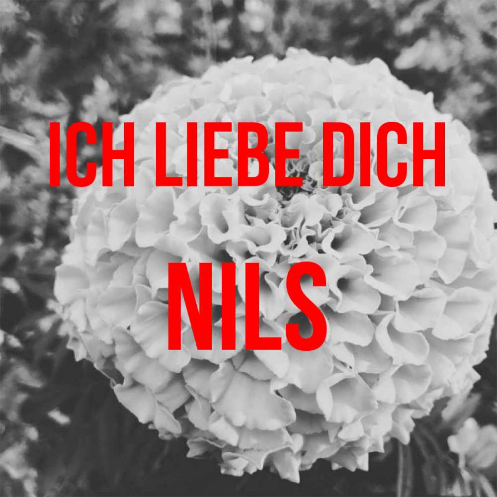 Открытка на каждый день с именем, Nils Ich liebe dich подпись Прикольная открытка с пожеланием онлайн скачать бесплатно 