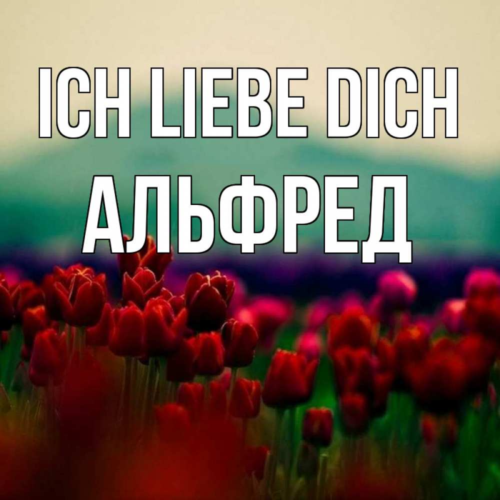 Открытка на каждый день с именем, Альфред Ich liebe dich тюльпаны 4 Прикольная открытка с пожеланием онлайн скачать бесплатно 