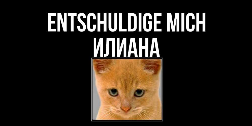 Открытка на каждый день с именем, Илиана Entschuldige mich рыжий грустный кот просит прощения Прикольная открытка с пожеланием онлайн скачать бесплатно 