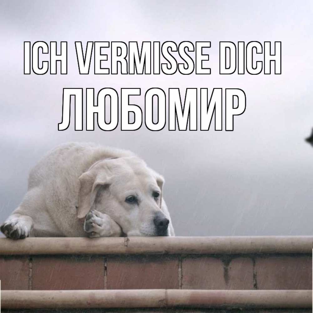 Открытка на каждый день с именем, Любомир Ich vermisse dich ждет Прикольная открытка с пожеланием онлайн скачать бесплатно 
