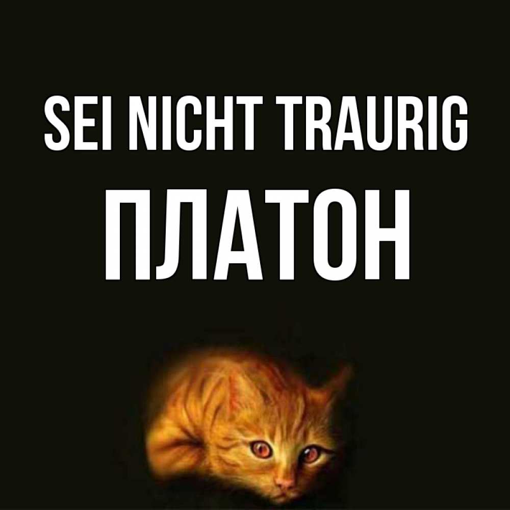 Открытка на каждый день с именем, Платон Sei nicht traurig лежащий кот в темноте Прикольная открытка с пожеланием онлайн скачать бесплатно 