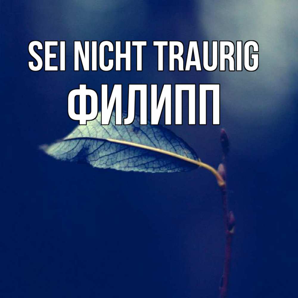 Открытка на каждый день с именем, Филипп Sei nicht traurig растение Прикольная открытка с пожеланием онлайн скачать бесплатно 