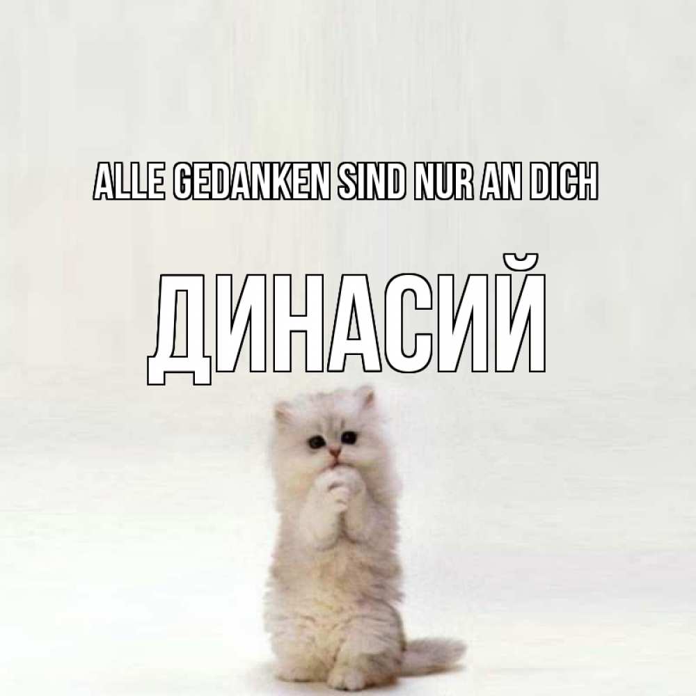 Открытка на каждый день с именем, Динасий Alle Gedanken sind nur an dich кот стоит на задних лапах Прикольная открытка с пожеланием онлайн скачать бесплатно 