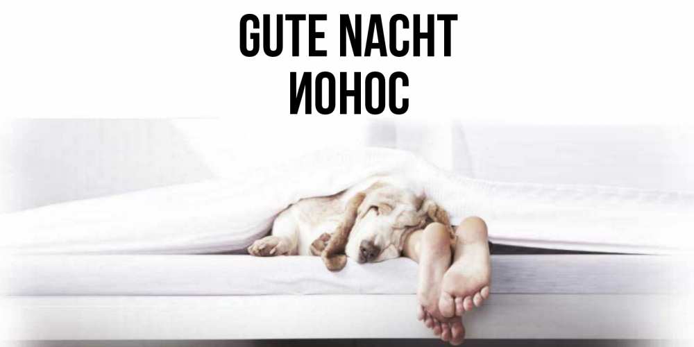 Открытка на каждый день с именем, Ионос Gute Nacht кровать с собакой пожелание сладких снов и спокойной ночи Прикольная открытка с пожеланием онлайн скачать бесплатно 