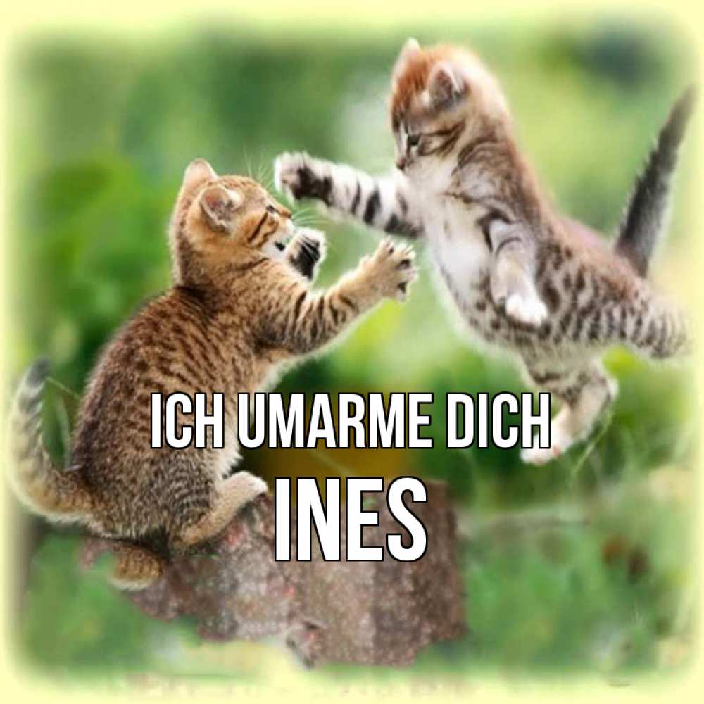 Открытка на каждый день с именем, Ines Ich umarme dich игры котят Прикольная открытка с пожеланием онлайн скачать бесплатно 