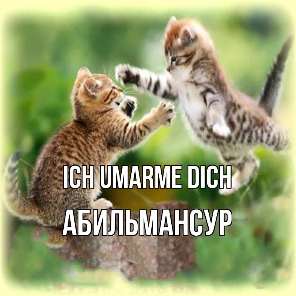 Открытка на каждый день с именем, Абильмансур Ich umarme dich игры котят Прикольная открытка с пожеланием онлайн скачать бесплатно 