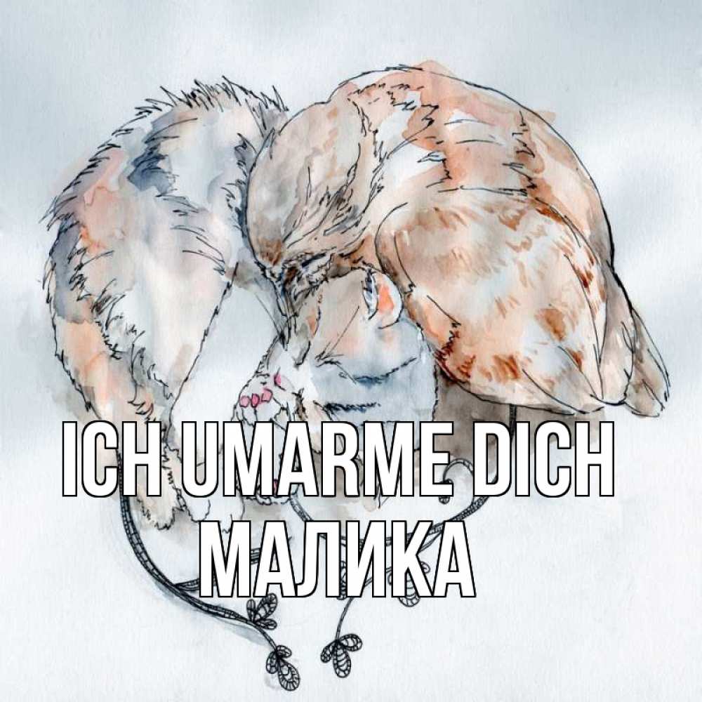 Открытка на каждый день с именем, Малика Ich umarme dich можно быть вместе даже когда очень разные Прикольная открытка с пожеланием онлайн скачать бесплатно 