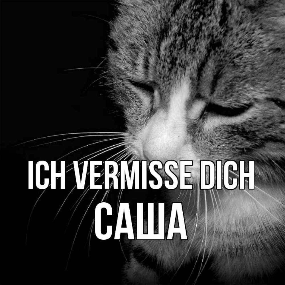 Открытка на каждый день с именем, Саша Ich vermisse dich мне скучно Прикольная открытка с пожеланием онлайн скачать бесплатно 