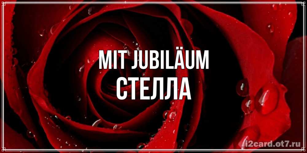 Открытка на каждый день с именем, Стелла Mit Jubiläum крупная бордовая роза Прикольная открытка с пожеланием онлайн скачать бесплатно 