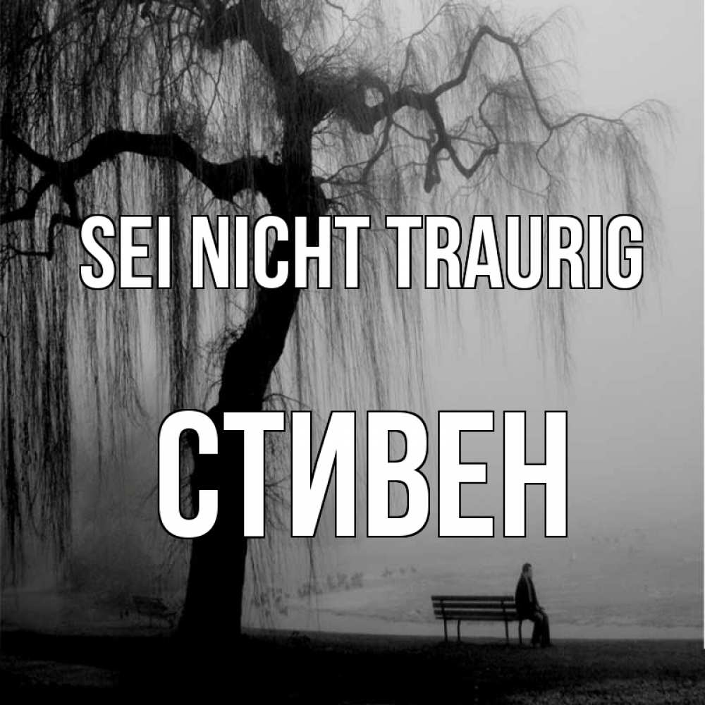 Открытка на каждый день с именем, Стивен Sei nicht traurig висящие ветки дерева и лавочка под деревом Прикольная открытка с пожеланием онлайн скачать бесплатно 