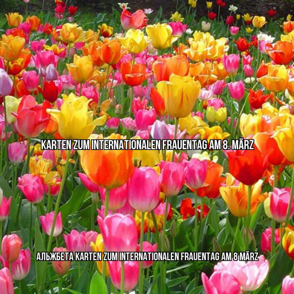 Картинка Karten zum Internationalen Frauentag am 8. März, Альжбета
