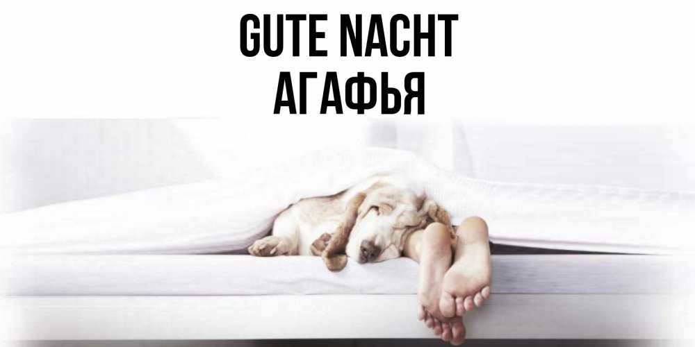 Открытка на каждый день с именем, Агафья Gute Nacht кровать с собакой пожелание сладких снов и спокойной ночи Прикольная открытка с пожеланием онлайн скачать бесплатно 