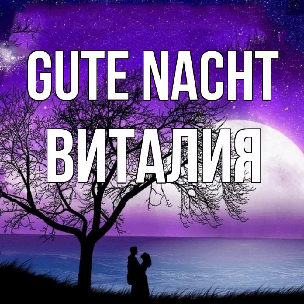 Открытка на каждый день с именем, Виталия Gute Nacht огромная луна и парочка Прикольная открытка с пожеланием онлайн скачать бесплатно 