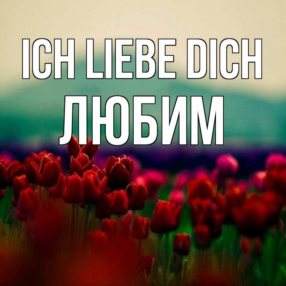 Открытка на каждый день с именем, Любим Ich liebe dich тюльпаны 4 Прикольная открытка с пожеланием онлайн скачать бесплатно 
