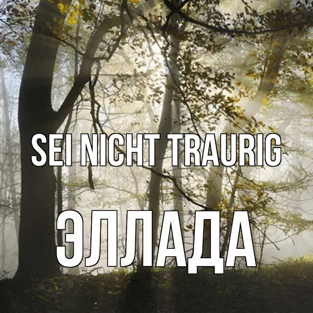 Открытка на каждый день с именем, Эллада Sei nicht traurig лес и свет Прикольная открытка с пожеланием онлайн скачать бесплатно 