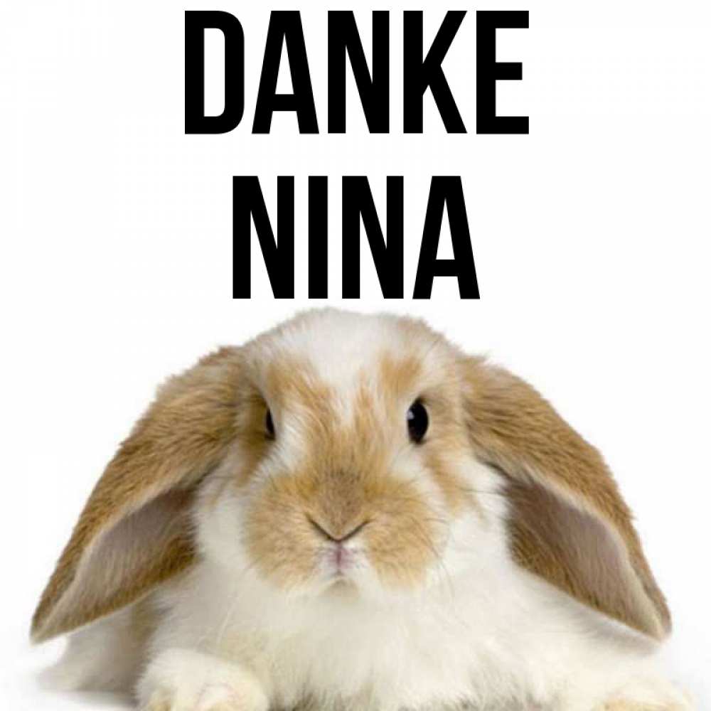 Открытка на каждый день с именем, Nina Danke коричнево белый заяц Прикольная открытка с пожеланием онлайн скачать бесплатно 