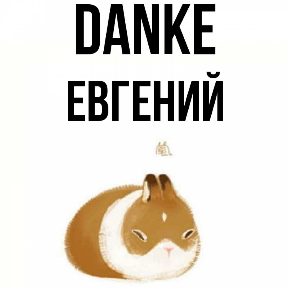 Открытка на каждый день с именем, Евгений Danke коричнево белый домашний питомец Прикольная открытка с пожеланием онлайн скачать бесплатно 