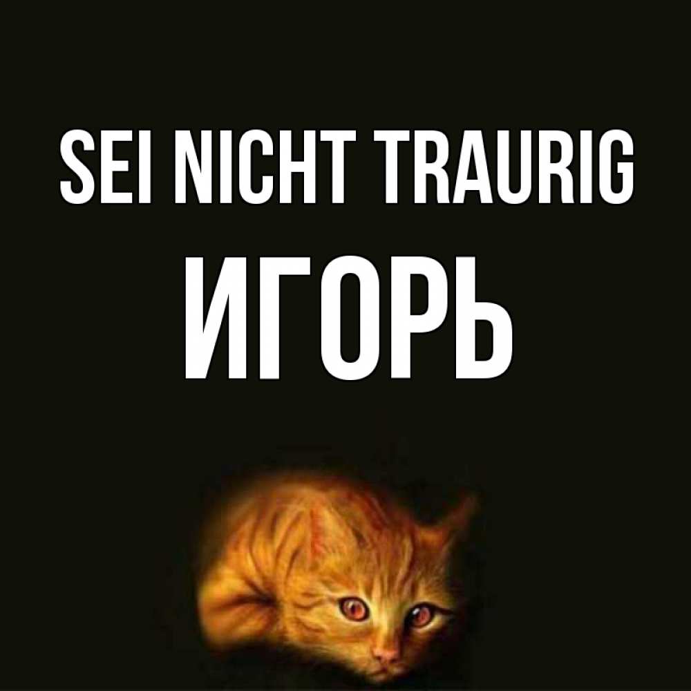 Открытка на каждый день с именем, Игорь Sei nicht traurig лежащий кот в темноте Прикольная открытка с пожеланием онлайн скачать бесплатно 