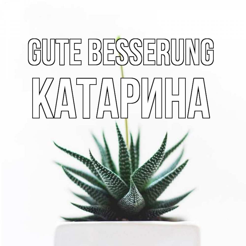 Открытка на каждый день с именем, Катарина Gute Besserung короче это непонятная колючка Прикольная открытка с пожеланием онлайн скачать бесплатно 