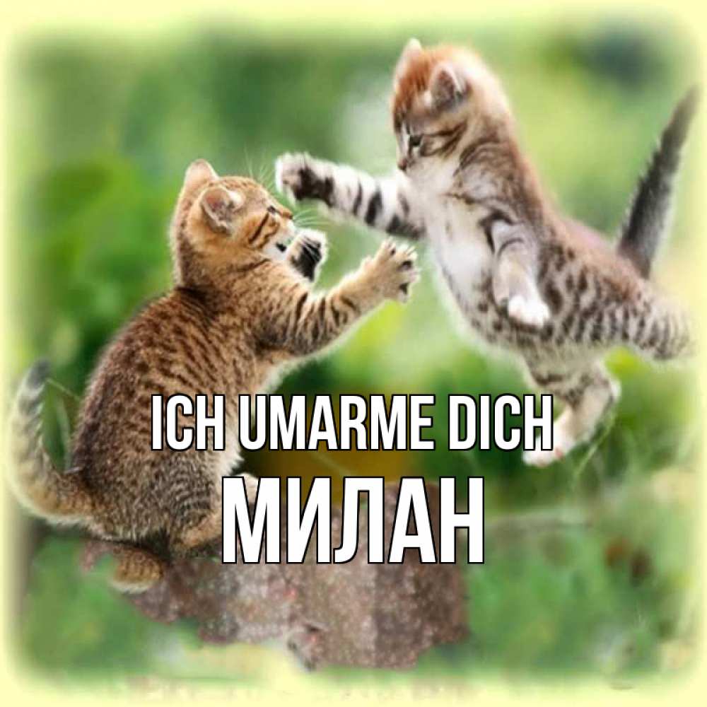 Открытка на каждый день с именем, Милан Ich umarme dich игры котят Прикольная открытка с пожеланием онлайн скачать бесплатно 