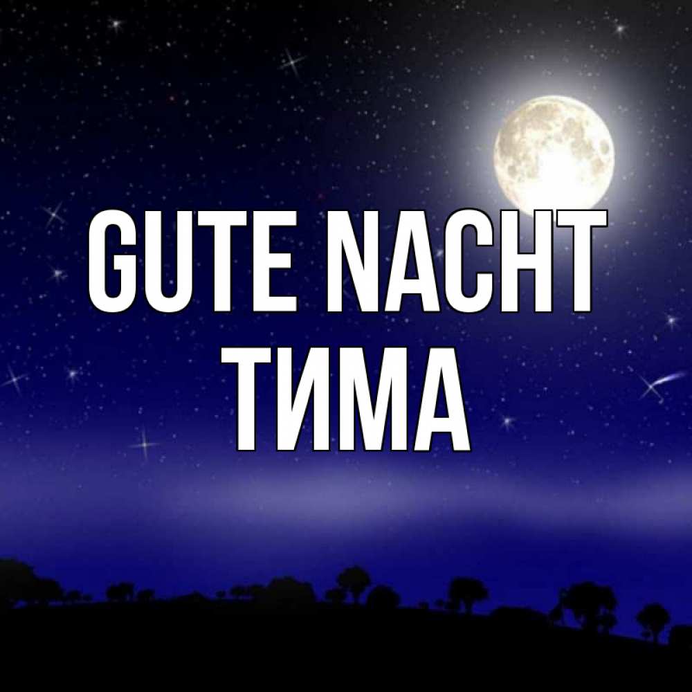 Открытка на каждый день с именем, Тима Gute Nacht ночное небо и лесная опушка при свете луны Прикольная открытка с пожеланием онлайн скачать бесплатно 
