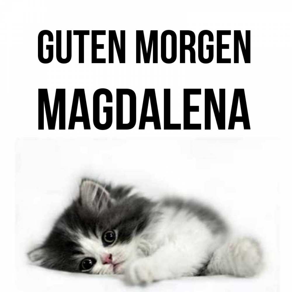 Открытка на каждый день с именем, Magdalena Guten Morgen кот лапки Прикольная открытка с пожеланием онлайн скачать бесплатно 
