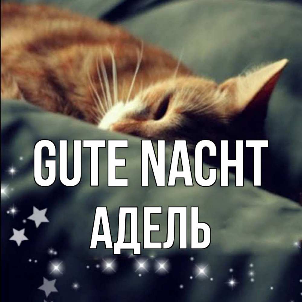 Открытка на каждый день с именем, Адель Gute Nacht кроватка Прикольная открытка с пожеланием онлайн скачать бесплатно 
