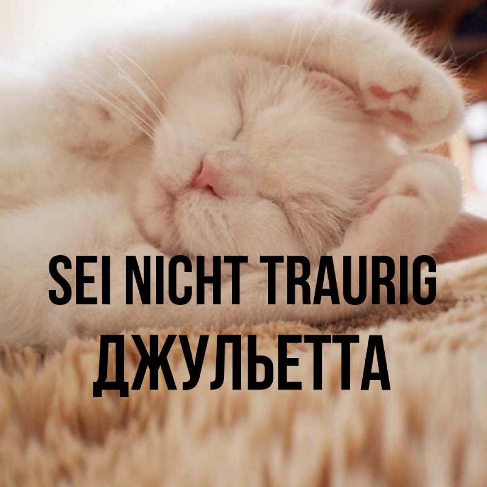 Открытка на каждый день с именем, Джульетта Sei nicht traurig Котенок спит Прикольная открытка с пожеланием онлайн скачать бесплатно 