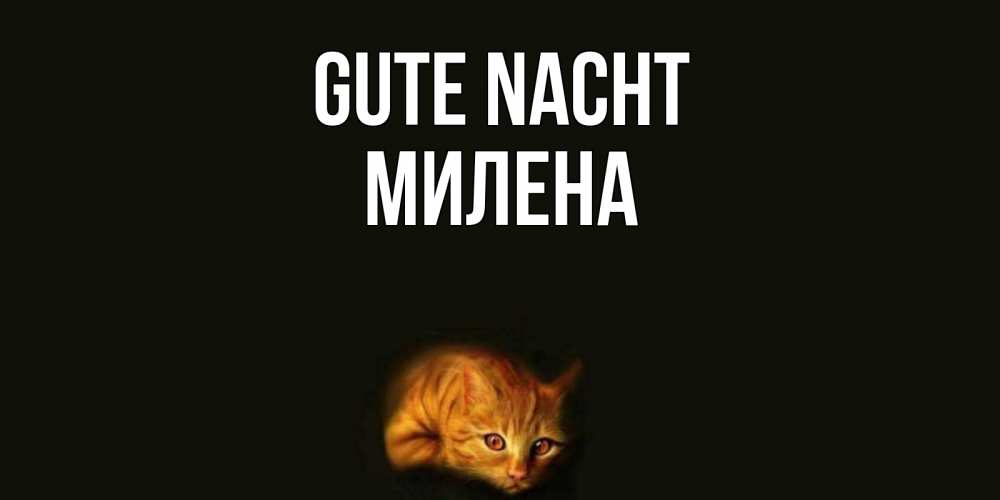Открытка на каждый день с именем, Милена Gute Nacht кот Прикольная открытка с пожеланием онлайн скачать бесплатно 