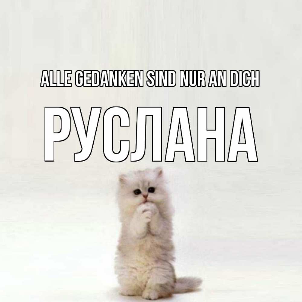 Открытка на каждый день с именем, Руслана Alle Gedanken sind nur an dich кот стоит на задних лапах Прикольная открытка с пожеланием онлайн скачать бесплатно 