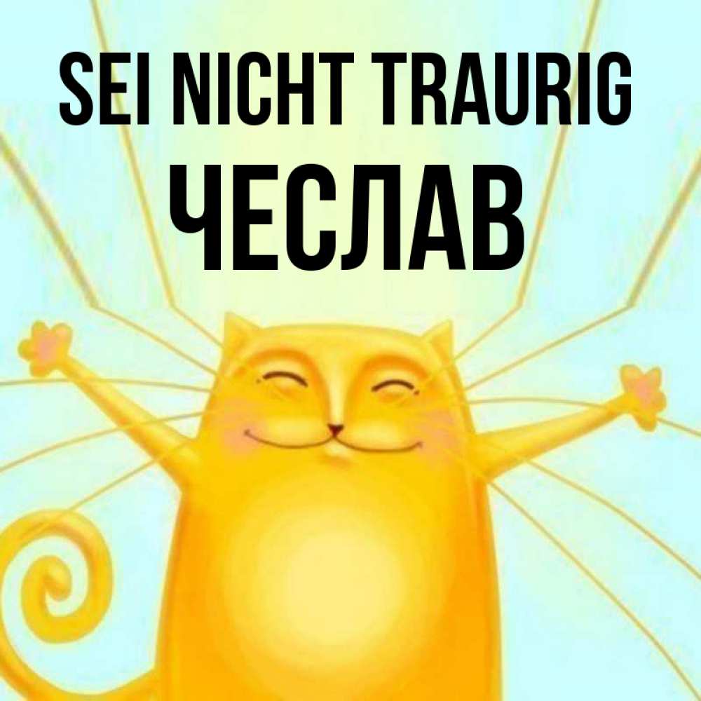 Открытка на каждый день с именем, Чеслав Sei nicht traurig обнимашки усатые Прикольная открытка с пожеланием онлайн скачать бесплатно 