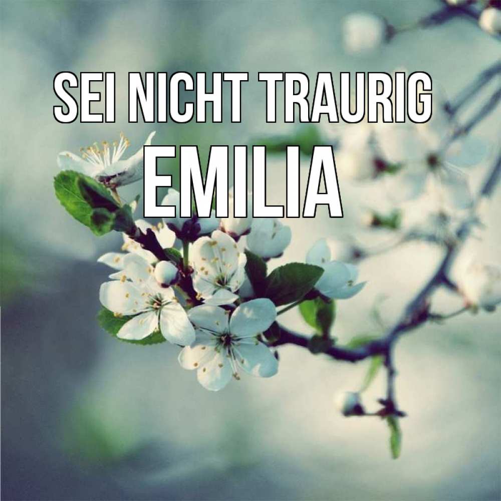 Открытка на каждый день с именем, Emilia Sei nicht traurig яблоня в цвету 1 Прикольная открытка с пожеланием онлайн скачать бесплатно 