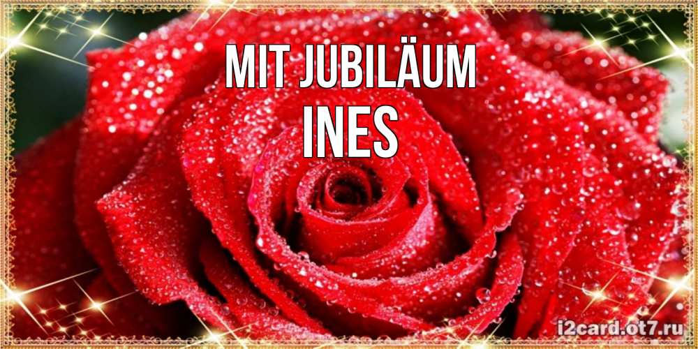 Открытка на каждый день с именем, Ines Mit Jubiläum роса и роза. открытка с красивой розой Прикольная открытка с пожеланием онлайн скачать бесплатно 