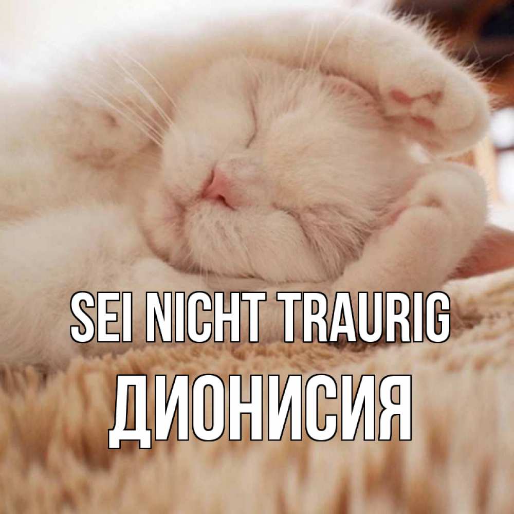 Открытка на каждый день с именем, Дионисия Sei nicht traurig белый кот Прикольная открытка с пожеланием онлайн скачать бесплатно 