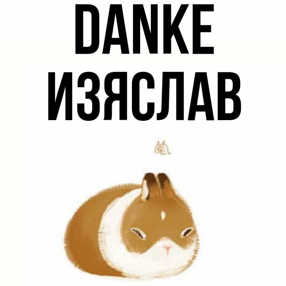 Открытка на каждый день с именем, Изяслав Danke коричнево белый домашний питомец Прикольная открытка с пожеланием онлайн скачать бесплатно 