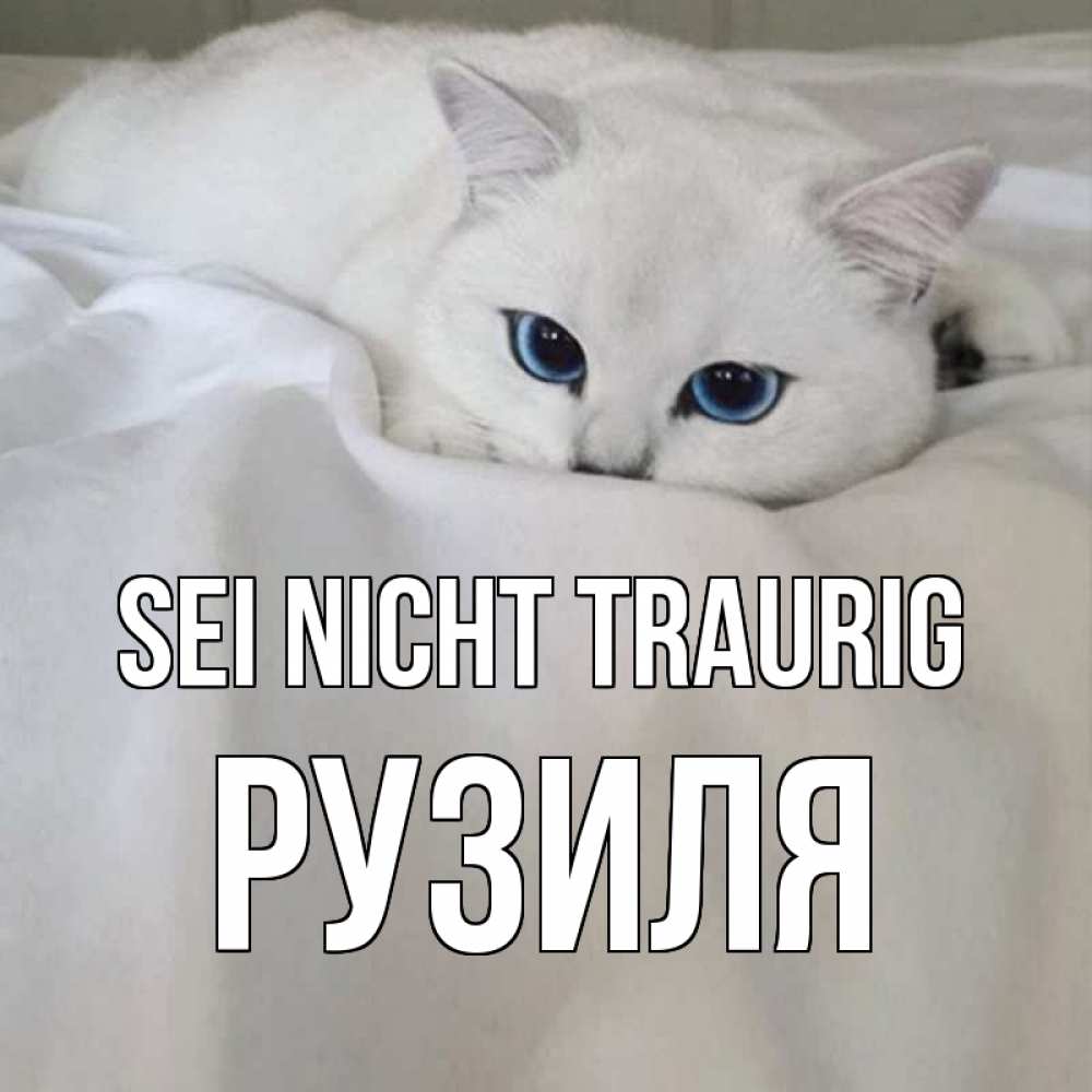 Открытка на каждый день с именем, Рузиля Sei nicht traurig белый кот с голубыми глазами на белоснежной кровати Прикольная открытка с пожеланием онлайн скачать бесплатно 